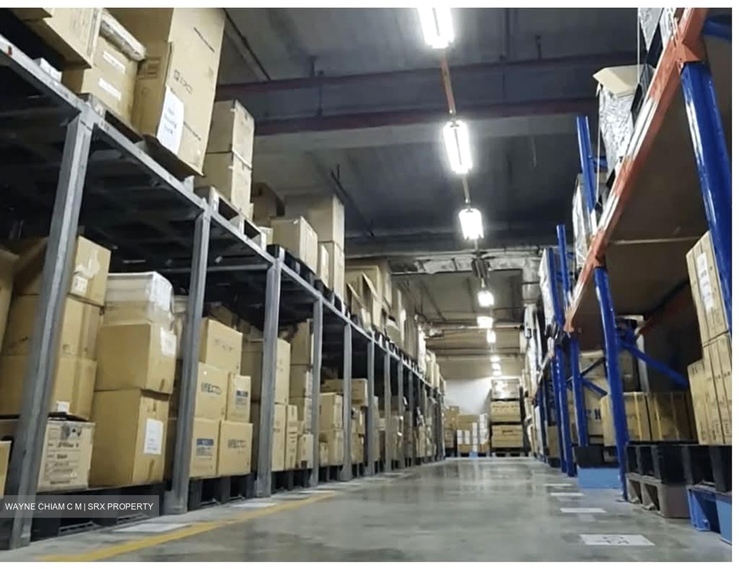 Imm Building (D22), Warehouse #559562311